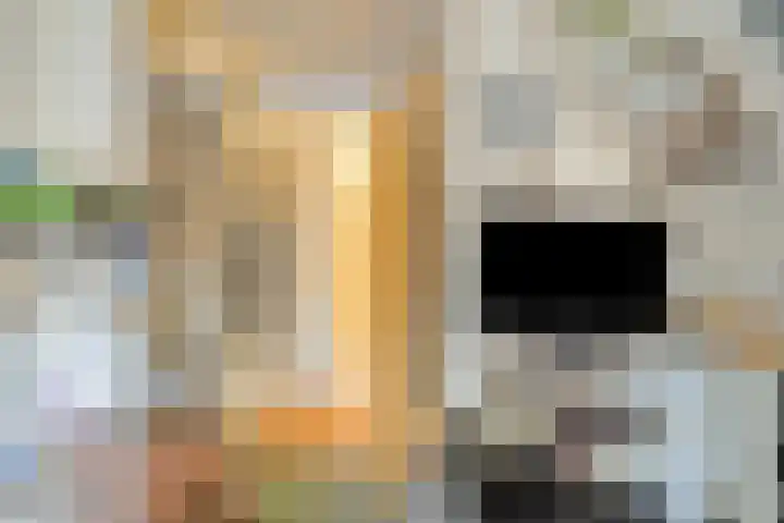 Eexterweg 43 Gieten thumbnail 34