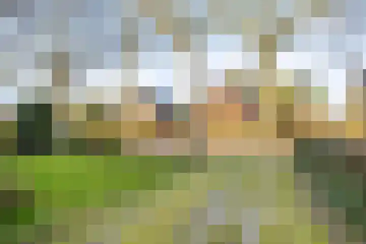 Eexterweg 43 Gieten thumbnail 35