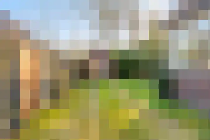 Eexterweg 43 Gieten thumbnail 36
