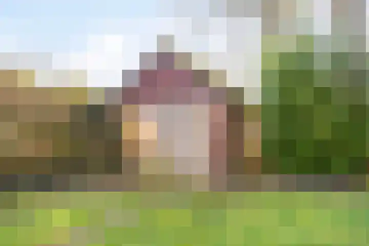 Eexterweg 43 Gieten thumbnail 37