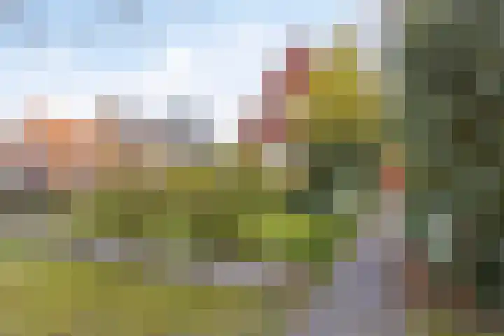 Eexterweg 43 Gieten thumbnail 4