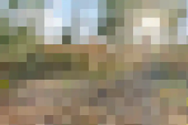 Eexterweg 43 Gieten thumbnail 44