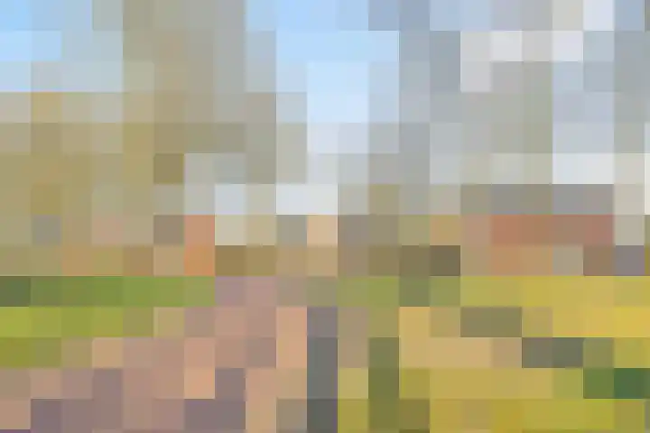 Eexterweg 43 Gieten thumbnail 47