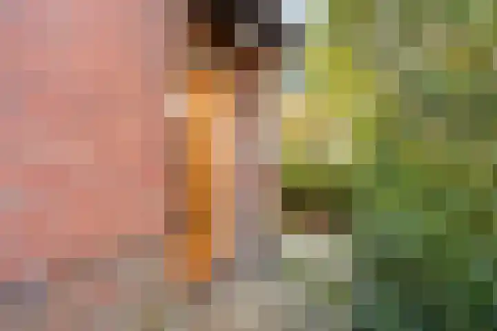 Eexterweg 43 Gieten thumbnail 5