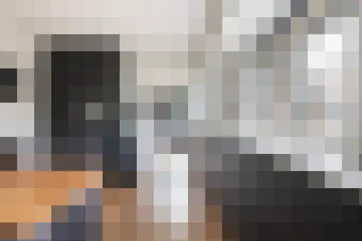 Effinck 13 Markelo thumbnail 12