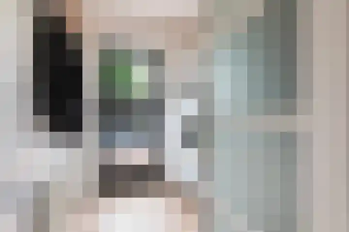 Effinck 13 Markelo thumbnail 20