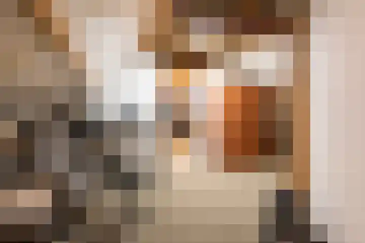 Effinck 13 Markelo thumbnail 30