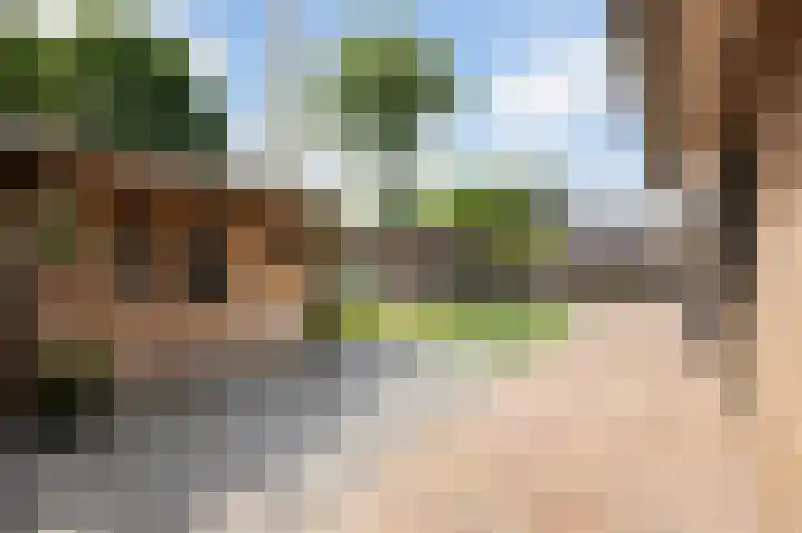 Effinck 13 Markelo thumbnail 5