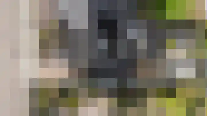 Eg 2 Didam thumbnail 8