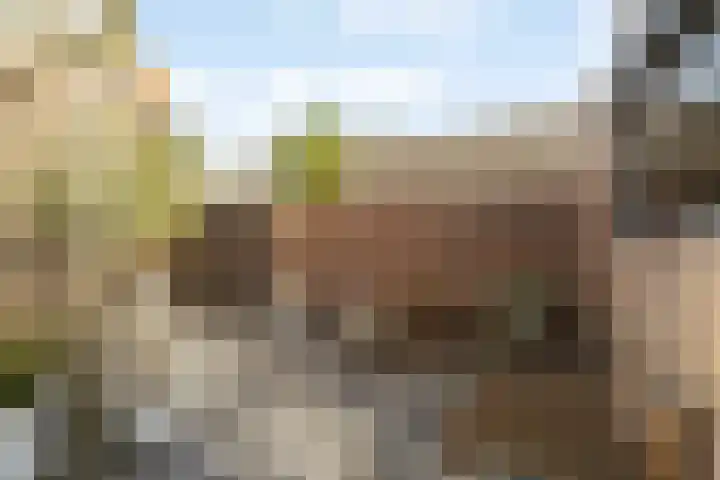 Egbert de Grootstraat 24 Noordwijk thumbnail 17
