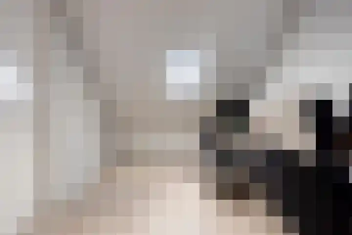 Egbert Dekkershof 12 Zeeland thumbnail 22