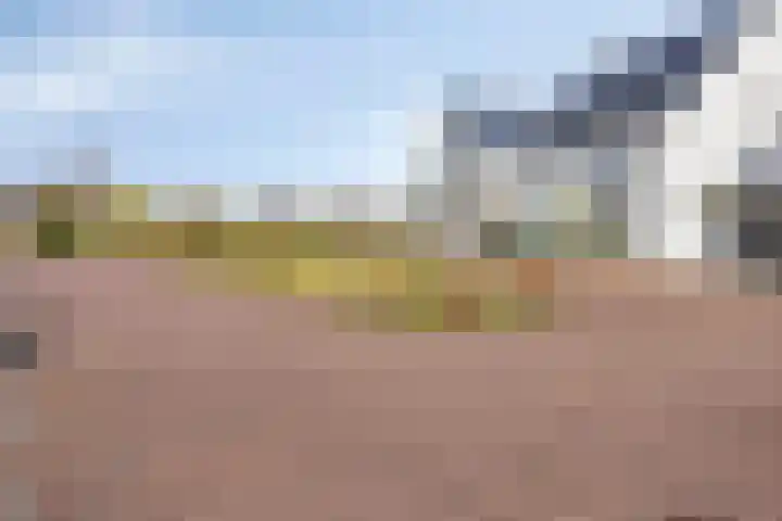 Egbert Dekkershof 12 Zeeland thumbnail 32