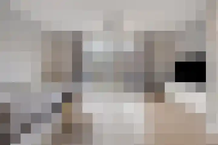 Egbert Dekkershof 12 Zeeland thumbnail 4