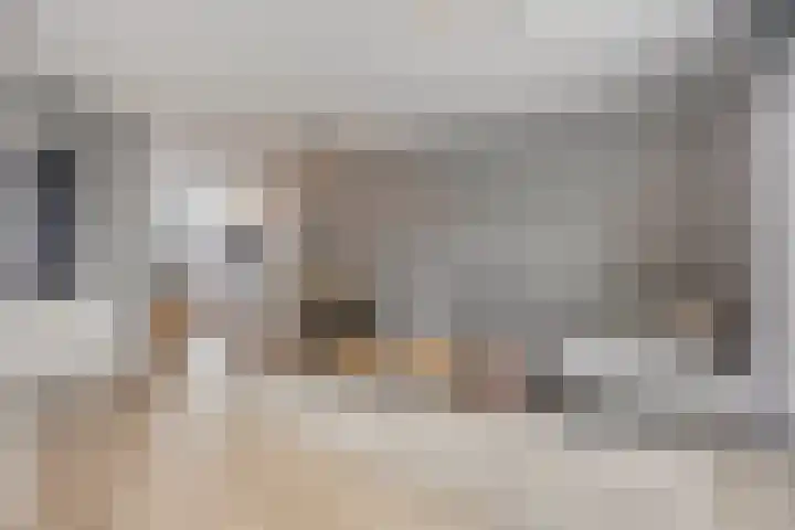 Egbert Dekkershof 12 Zeeland thumbnail 5