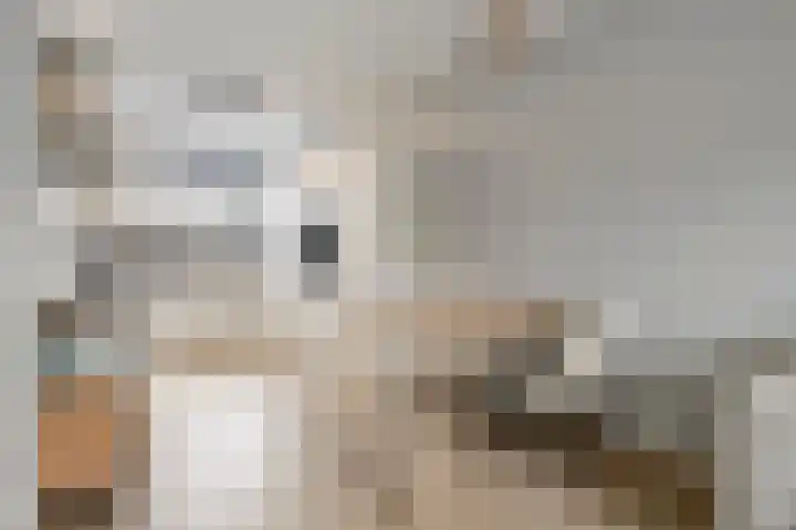 Egbert Dekkershof 12 Zeeland thumbnail 7