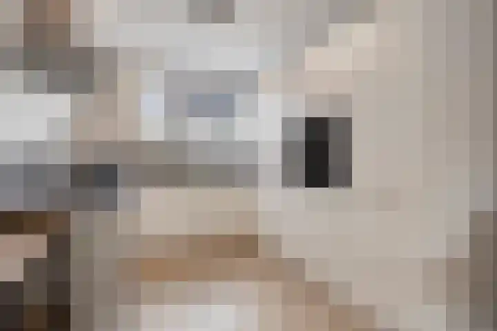 Egbert Dekkershof 12 Zeeland thumbnail 8