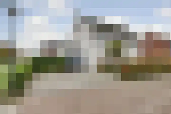 Egel 1 dans Vlijmen