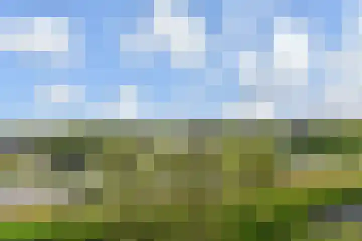 Egelantier 38 Nootdorp thumbnail 12