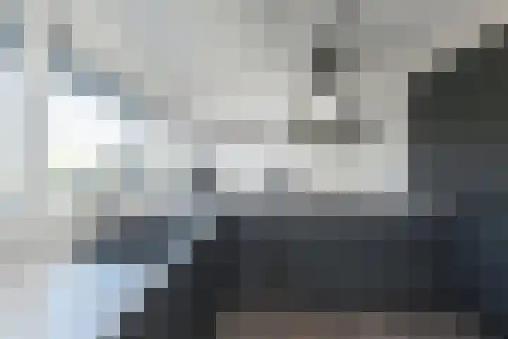Egelantier 38 Nootdorp thumbnail 13