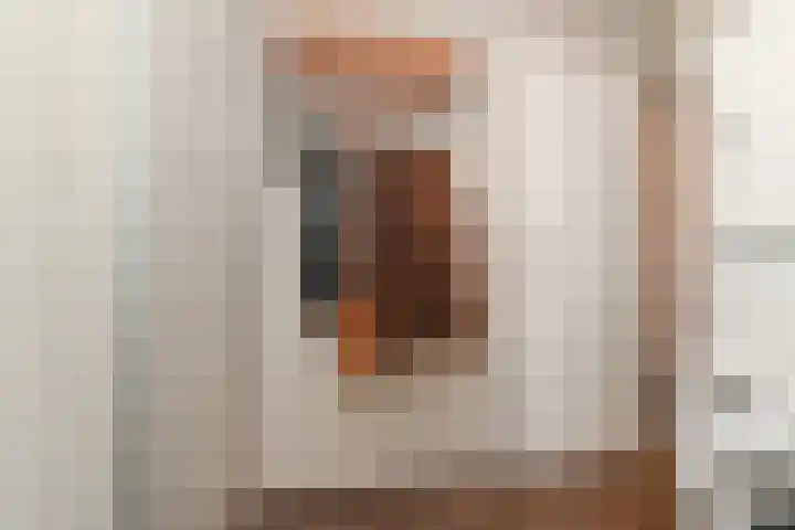 Egelantier 38 Nootdorp thumbnail 16