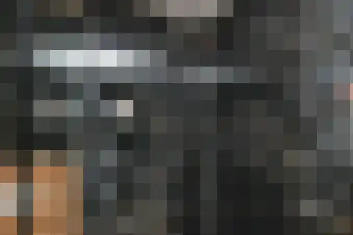 Egelantier 38 Nootdorp thumbnail 26