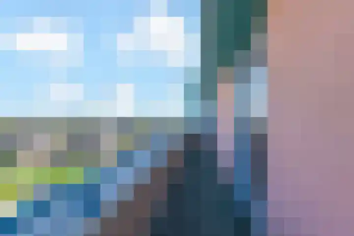 Egelantier 38 Nootdorp thumbnail 31