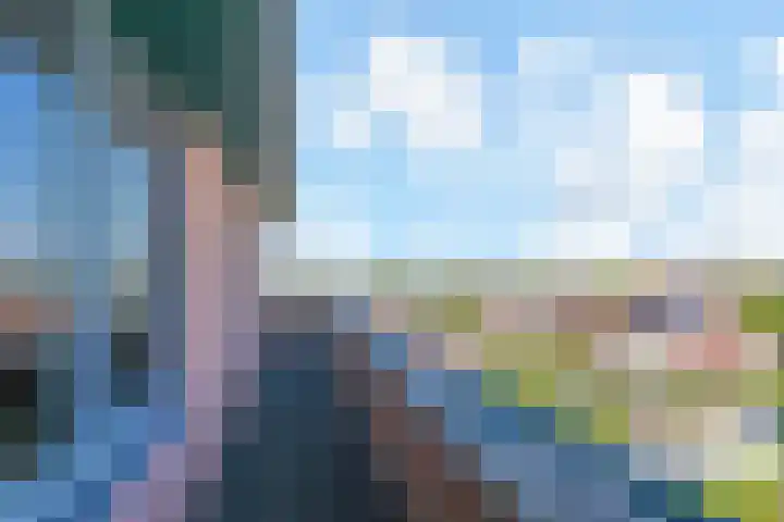 Egelantier 38 Nootdorp thumbnail 32