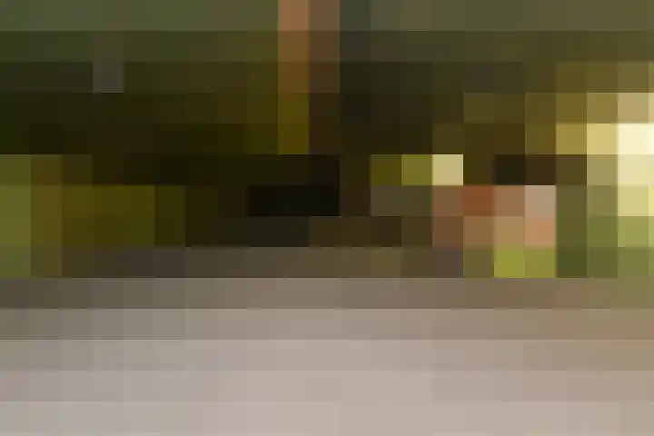 Egelantier 38 Nootdorp thumbnail 38