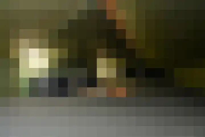 Egelantier 38 Nootdorp thumbnail 39