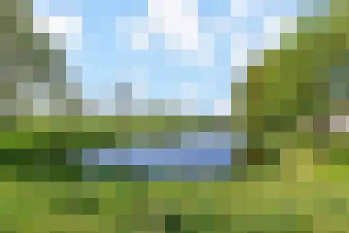 Egelantier 38 Nootdorp thumbnail 43
