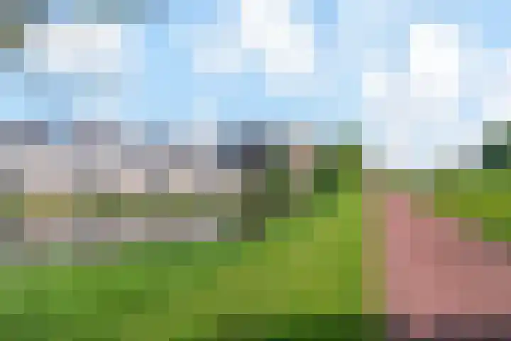 Egelantier 38 Nootdorp thumbnail 45