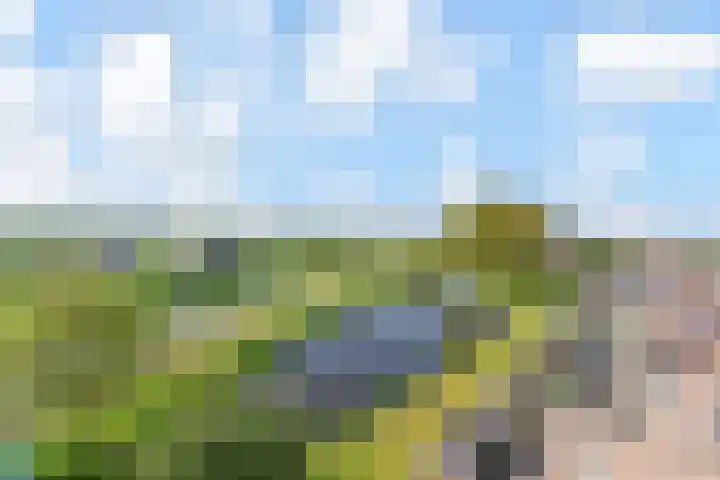Egelantier 38 Nootdorp thumbnail 5