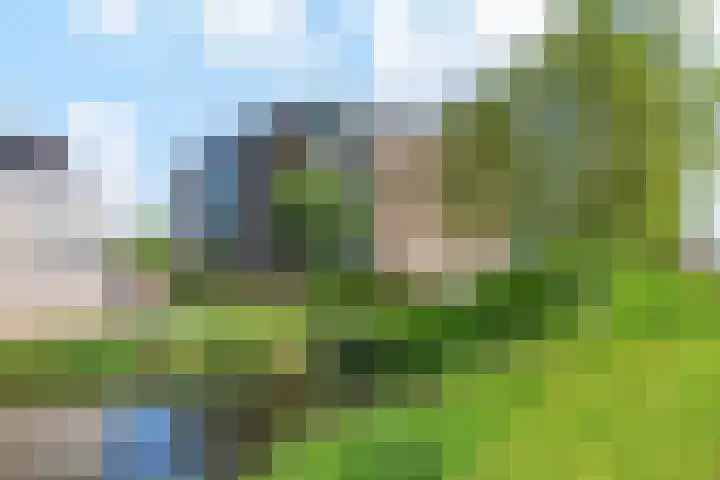Egelantier 38 Nootdorp thumbnail 51