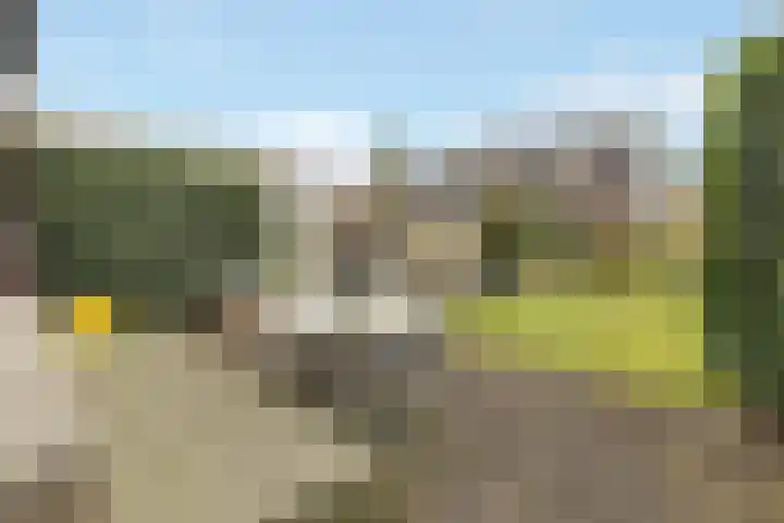 Egelantier 63 Zeewolde thumbnail 30