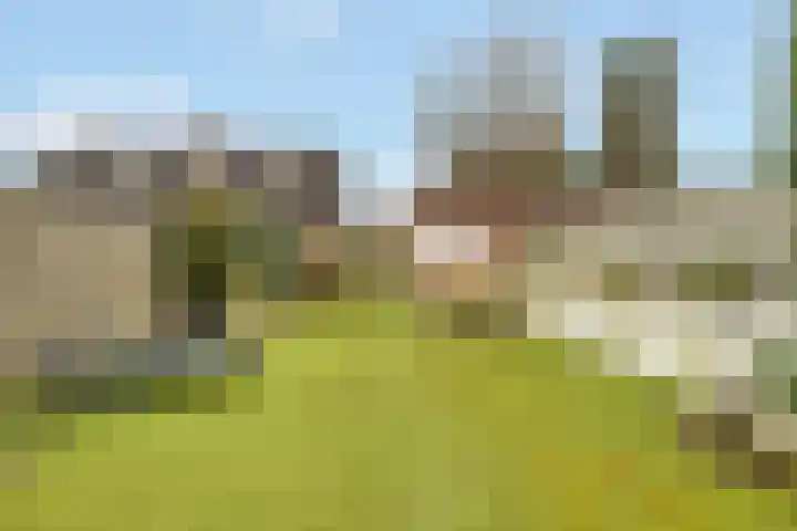 Egelantier 63 Zeewolde thumbnail 31