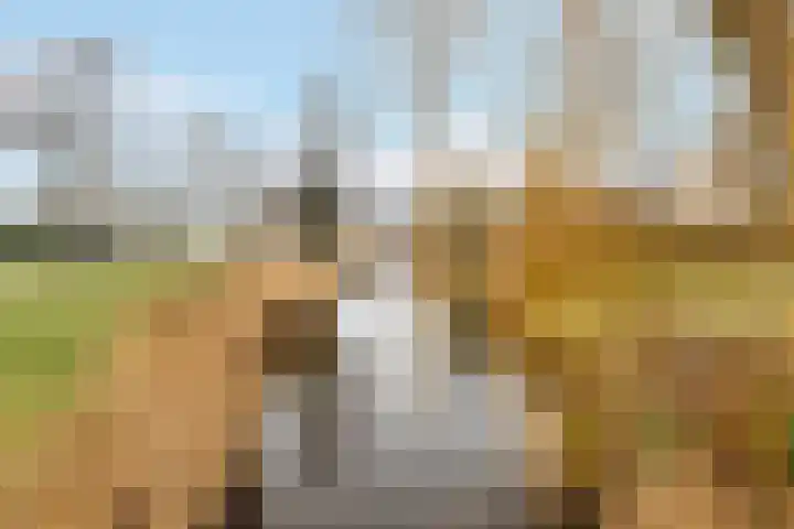 Egelantier 63 Zeewolde thumbnail 34