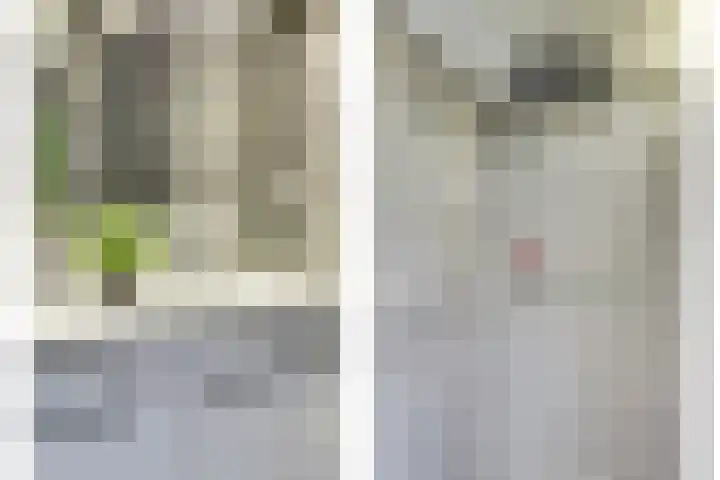 Egelantierlaan 28 Drunen thumbnail 16