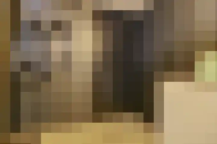 Egelantierlaan 28 Drunen thumbnail 21