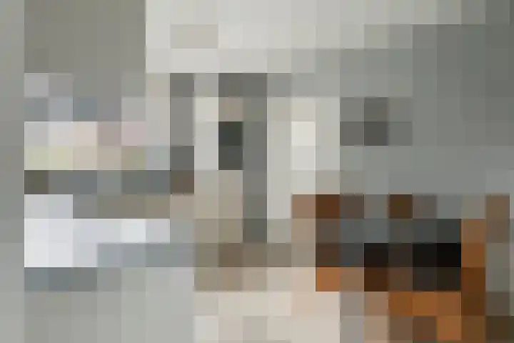 Egelantierpad 21 Sleeuwijk thumbnail 16