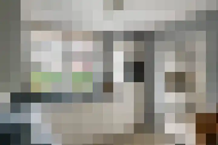 Egelantierpad 21 Sleeuwijk thumbnail 19