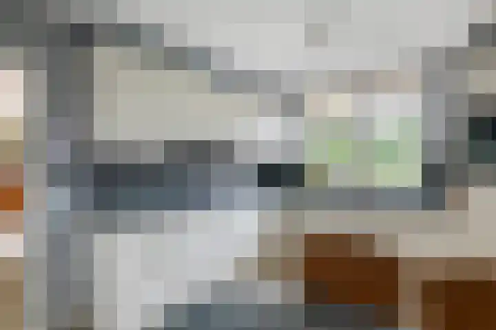 Egelantierpad 21 Sleeuwijk thumbnail 4