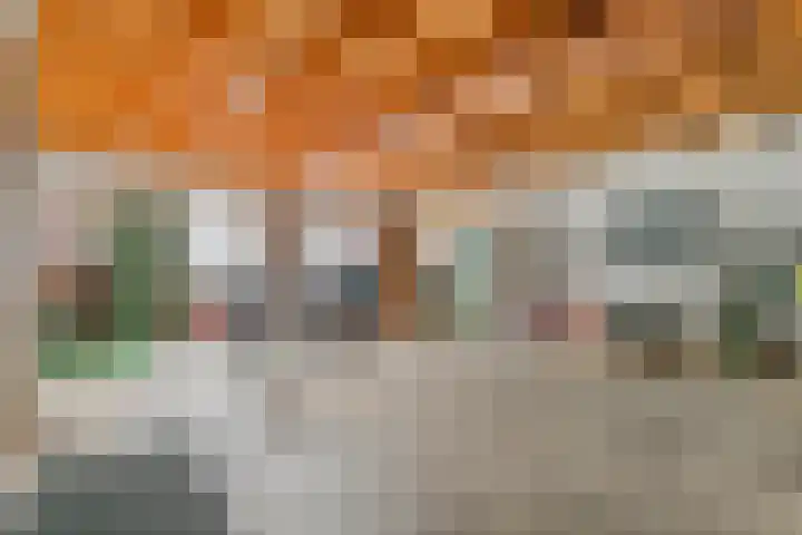 Egelantierpad 21 Sleeuwijk thumbnail 49