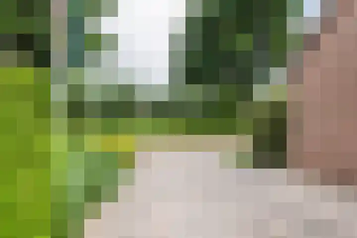 Egelantierpad 21 Sleeuwijk thumbnail 52