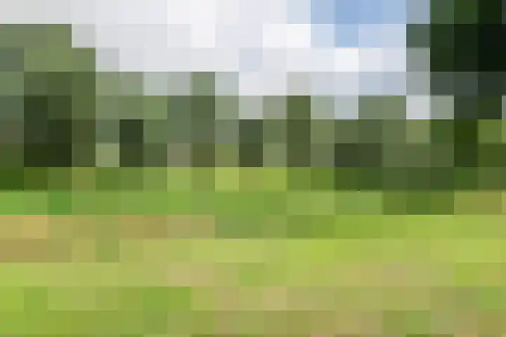 Egelantierpad 21 Sleeuwijk thumbnail 53