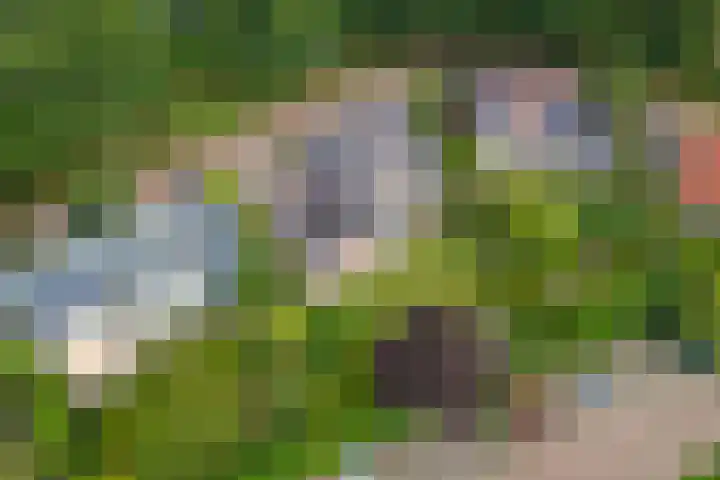 Egelantierpad 21 Sleeuwijk thumbnail 54