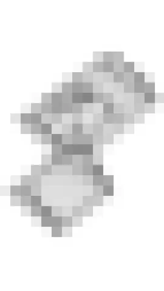 Egelantierpad 21 Sleeuwijk thumbnail 59