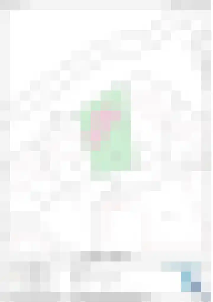Egelantierpad 21 Sleeuwijk thumbnail 62