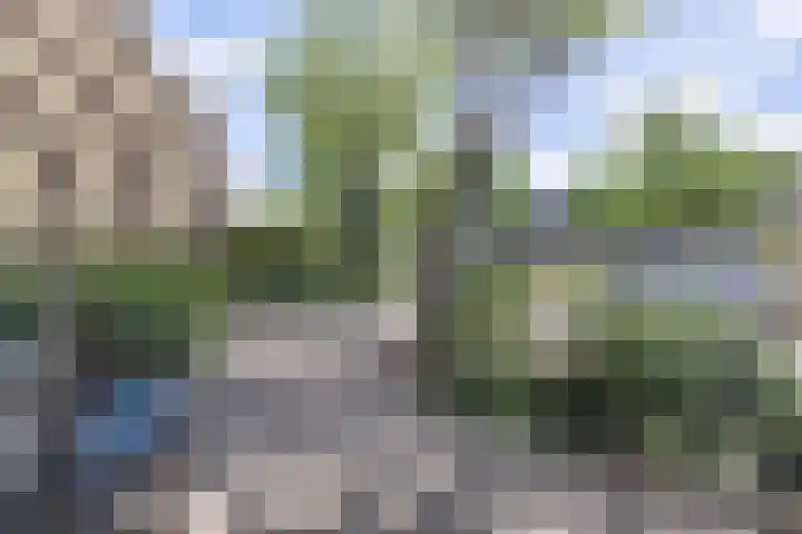 Egelenburg 15 Heiloo thumbnail 29