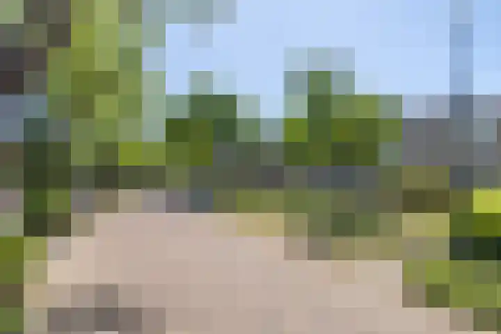 Egelenburg 15 Heiloo thumbnail 30