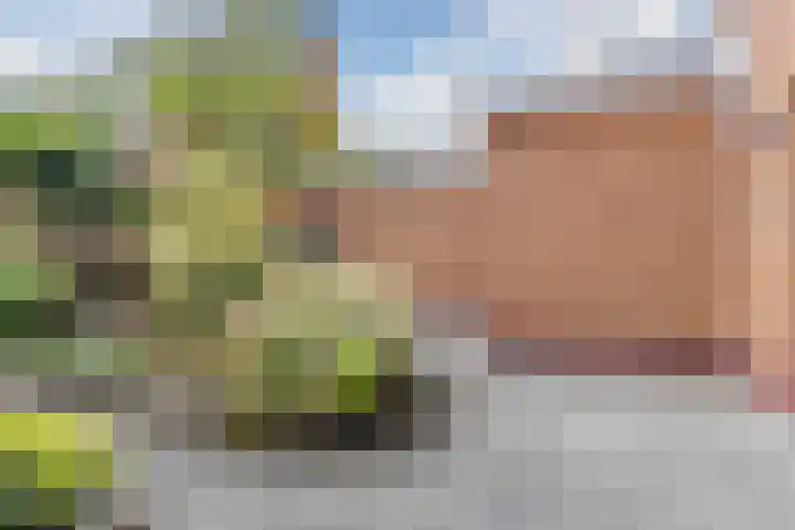 Egelenburgh 4 Assendelft thumbnail 34